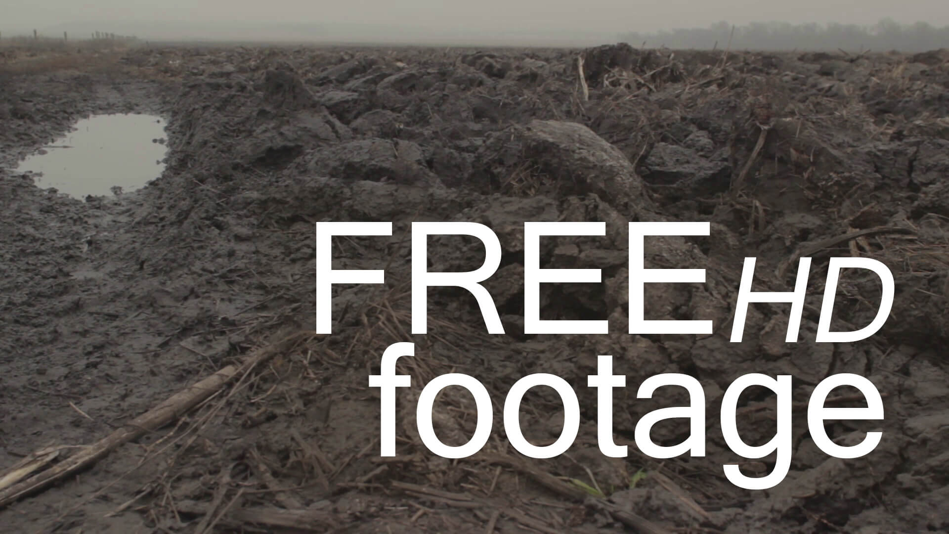 fog and field free hd footage d -